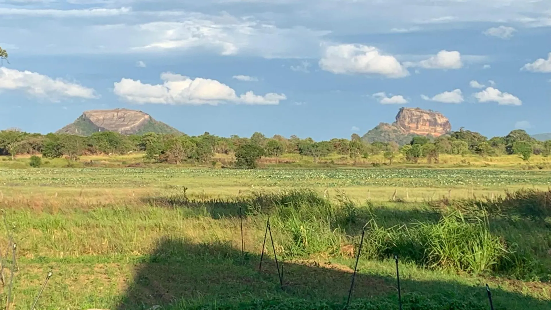Linwewa Villa, Sigiriya