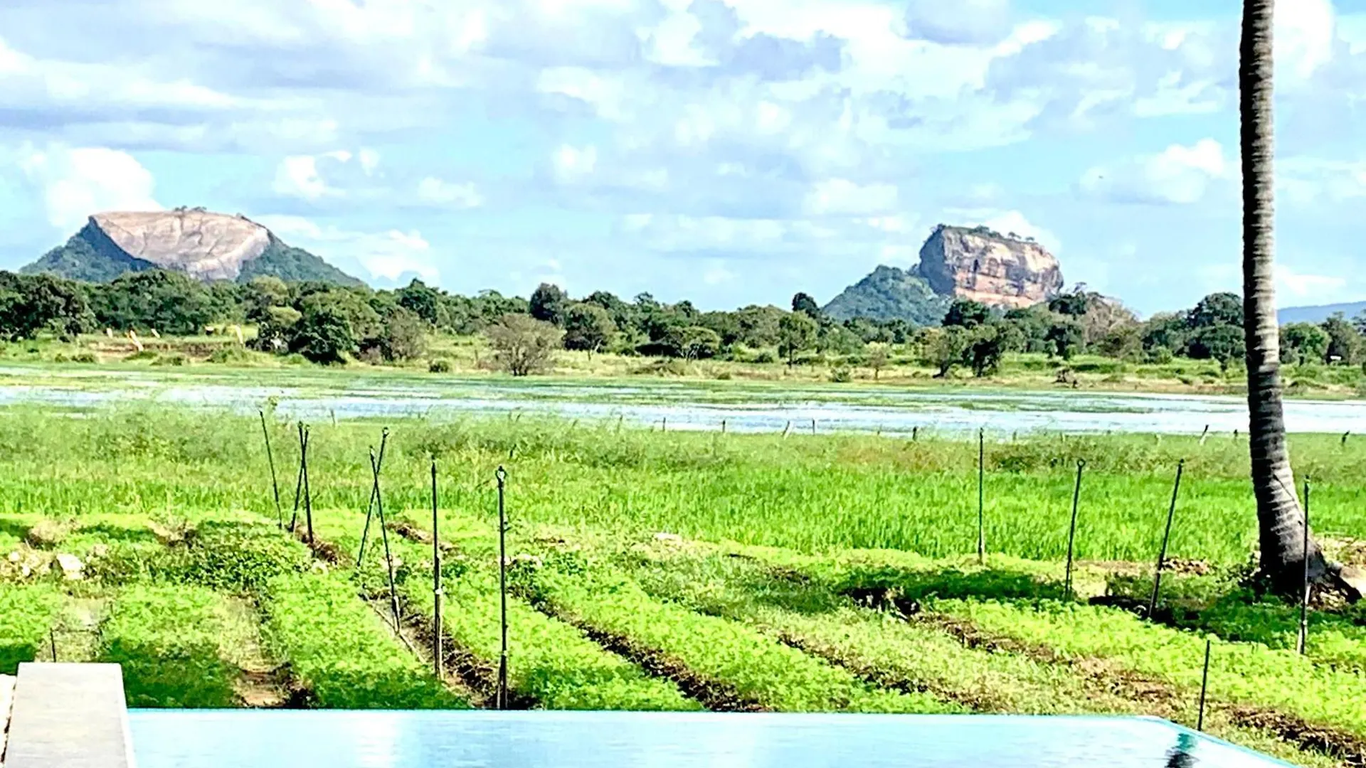 Villa Linwewa Villa, Sigiriya