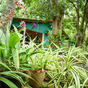 Ubytování v soukromí Palitha, Sigiriya